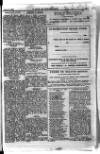 Y Llan Friday 05 January 1894 Page 13