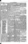 Y Llan Friday 14 September 1894 Page 9