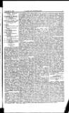 Y Llan Friday 30 November 1894 Page 3