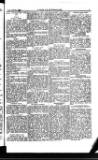 Y Llan Friday 30 November 1894 Page 7