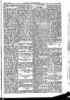 Y Llan Friday 05 April 1895 Page 9