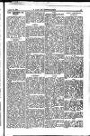 Y Llan Friday 10 January 1896 Page 13