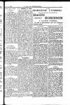 Y Llan Friday 20 March 1896 Page 13