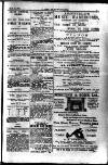 Y Llan Friday 10 April 1896 Page 15