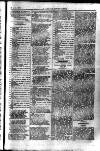 Y Llan Friday 01 May 1896 Page 7