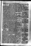 Y Llan Friday 08 May 1896 Page 9