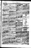 Y Llan Friday 05 June 1896 Page 3