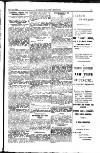 Y Llan Friday 21 August 1896 Page 13
