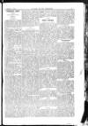 Y Llan Friday 01 January 1897 Page 3