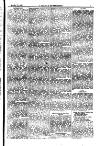 Y Llan Friday 11 June 1897 Page 5