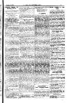 Y Llan Friday 25 June 1897 Page 11