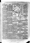 Y Llan Thursday 12 April 1900 Page 5