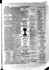 Y Llan Thursday 12 April 1900 Page 7