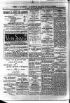 Y Llan Friday 17 August 1900 Page 4