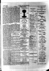 Y Llan Friday 24 August 1900 Page 7