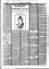 Y Llan Friday 25 January 1901 Page 5