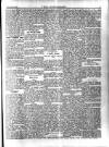 Y Llan Friday 15 March 1901 Page 5