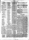 Y Llan Friday 29 January 1904 Page 3