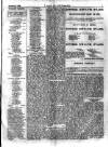 Y Llan Friday 02 February 1906 Page 3