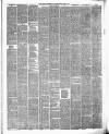 North British Advertiser & Ladies' Journal Saturday 20 March 1880 Page 3