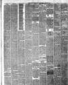 North British Advertiser & Ladies' Journal Saturday 25 December 1880 Page 3