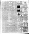 North British Advertiser & Ladies' Journal Saturday 15 April 1882 Page 3