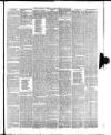 North British Advertiser & Ladies' Journal Saturday 15 March 1884 Page 7
