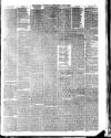 North British Advertiser & Ladies' Journal Saturday 24 April 1886 Page 7