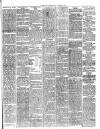 Cambria Daily Leader Friday 22 December 1882 Page 3