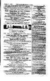 Cape and Natal News Saturday 15 March 1862 Page 17