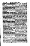 Cape and Natal News Tuesday 01 April 1862 Page 3