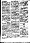 Alliance News Saturday 22 November 1879 Page 13