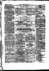 Alliance News Saturday 25 February 1882 Page 17