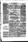 Alliance News Saturday 11 March 1882 Page 17