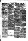 Alliance News Saturday 01 April 1882 Page 15