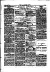 Alliance News Saturday 22 April 1882 Page 15
