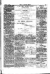 Alliance News Saturday 05 August 1882 Page 13