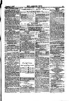 Alliance News Saturday 07 October 1882 Page 15