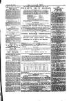 Alliance News Saturday 30 August 1884 Page 13