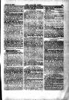 Alliance News Saturday 10 January 1885 Page 7