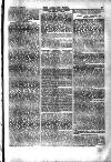 Alliance News Saturday 17 January 1885 Page 5