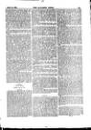Alliance News Saturday 16 April 1887 Page 7