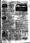 Alliance News Friday 05 April 1895 Page 19