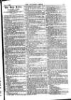 Alliance News Friday 04 October 1895 Page 13