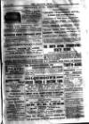 Alliance News Friday 15 November 1895 Page 19