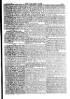 Alliance News Friday 03 September 1897 Page 11