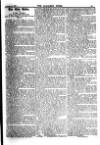 Alliance News Friday 01 October 1897 Page 13