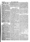 Alliance News Thursday 15 June 1899 Page 5