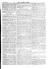 Alliance News Thursday 13 July 1899 Page 13