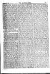 Alliance News Thursday 19 October 1899 Page 17